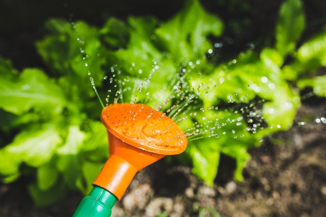 Gardening